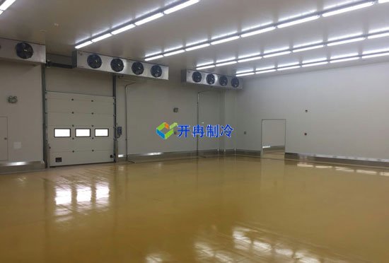 藥廠/藥企建造2-8℃低溫倉庫設(shè)備安裝造價(jià)多少